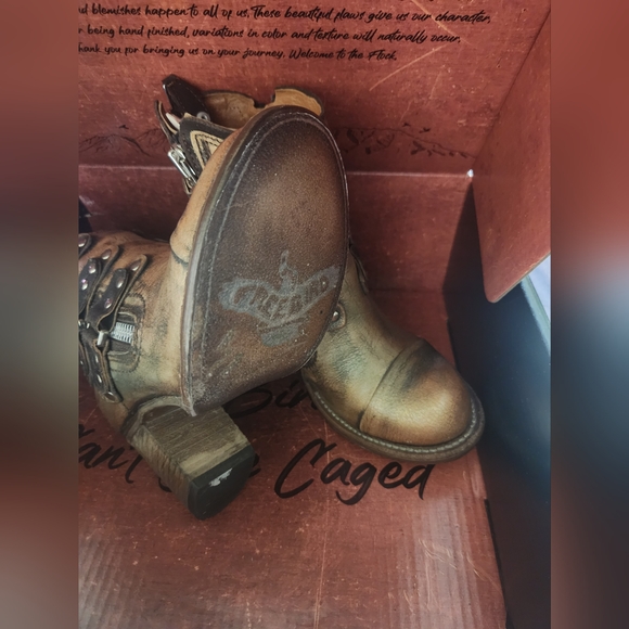 Freebird by Steven Beckett - Picture 3 of 3